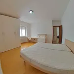 Rent 3 bedroom apartment of 80 m² in Trento