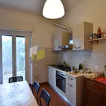 Rent 4 bedroom apartment of 100 m² in Pisa