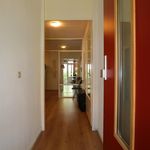 Rent 2 bedroom apartment of 63 m² in Indische buurt