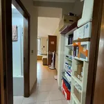 Rent 1 bedroom apartment of 50 m² in torino