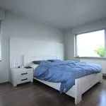 Maison de 682 m² avec 3 chambre(s) en location à Avelgem