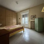 Rent 3 bedroom apartment of 95 m² in Pavia