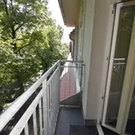 Rent 2 bedroom apartment of 52 m² in Chemnitz