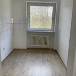 Rent 4 bedroom apartment of 75 m² in Siegen