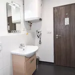 Rent 1 bedroom apartment of 33 m² in Brno