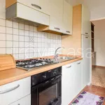 Rent 3 bedroom apartment of 80 m² in Firenze