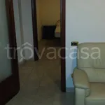 Rent 2 bedroom apartment of 50 m² in Frosinone