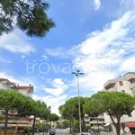 Rent 3 bedroom apartment of 70 m² in Fusignano