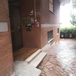 Rent 3 bedroom apartment of 100 m² in Roma