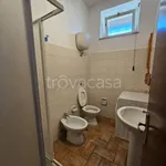 Rent 2 bedroom apartment of 50 m² in Frosinone