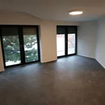 Rent 1 bedroom apartment of 129 m² in Brno