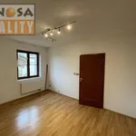 Rent 3 bedroom apartment of 543 m² in Ústí nad Labem