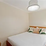 Rent 1 bedroom apartment in lisbon