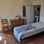 Rent 2 bedroom apartment of 50 m² in Siena