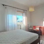 Rent a room of 120 m² in lisbon