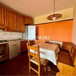 Rent 5 bedroom house of 200 m² in Seravezza