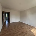 Rent 3 bedroom apartment of 61 m² in Chemnitz