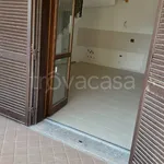 Rent 4 bedroom apartment of 95 m² in Roma