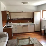 Rent 1 bedroom house in Trutnov