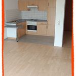 Rent 2 bedroom apartment of 57 m² in Zwickau