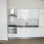 Huur 1 slaapkamer appartement van 40 m² in Arnhem