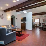 Rent 4 bedroom apartment of 100 m² in Florence