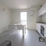 Rent 1 bedroom apartment of 49 m² in Novara