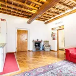 Rent 1 bedroom apartment of 50 m² in rome