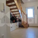 Rent 4 bedroom apartment of 91 m² in Chýně