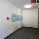 Pronajměte si 3 ložnic/e byt v Brno