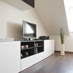 Rent 2 bedroom apartment of 53 m² in Leipzig