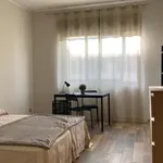 Rent 4 bedroom apartment of 130 m² in Foggia