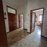 Rent 2 bedroom apartment of 50 m² in Civitanova Marche