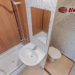 Rent 2 bedroom apartment of 43 m² in Opava