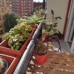 Alquilar 3 dormitorio apartamento en Valencia