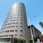 Rent 1 bedroom apartment in Auckland