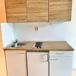 Rent 1 bedroom apartment in Brno