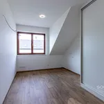 Pronajměte si 1 ložnic/e dům o rozloze 200 m² v Prague