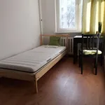 Rent a room in warsaw