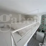 Rent 1 bedroom apartment of 31 m² in Milano