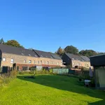 Rent 3 bedroom house in Thuin