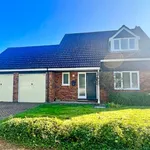 Detached house to rent in Carlton Gardens, Bedford MK41