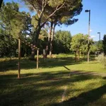 Rent 2 bedroom apartment of 65 m² in San Francesco