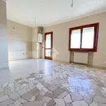 Rent 3 bedroom apartment of 100 m² in Canneto sull'Oglio