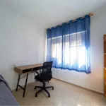 Alquilar 3 dormitorio apartamento en Granada