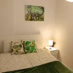 Rent 1 bedroom apartment of 60 m² in madrid