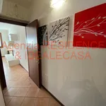 Rent 1 bedroom apartment of 50 m² in Padova