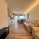 Rent 4 bedroom apartment of 90 m² in Trento