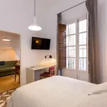 Rent 1 bedroom apartment of 28 m² in granada