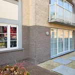 Huur 1 slaapkamer appartement in Waregem